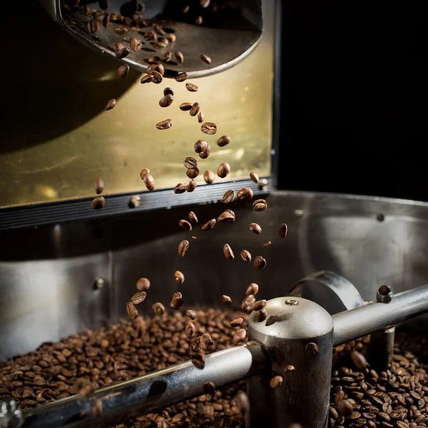 Grains de café fraîchement torréfiés — Photo