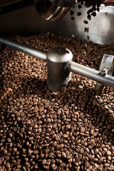 Freshly roasted coffee beans — Stock Photo, Image