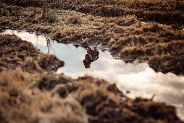 Alanını yürüyen bir yalnız kadın