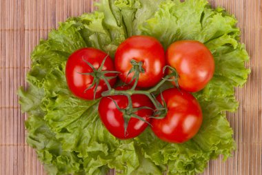 domates marul yaprakları üzerinde