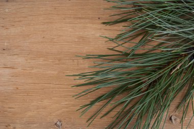 kış tatili arka plan