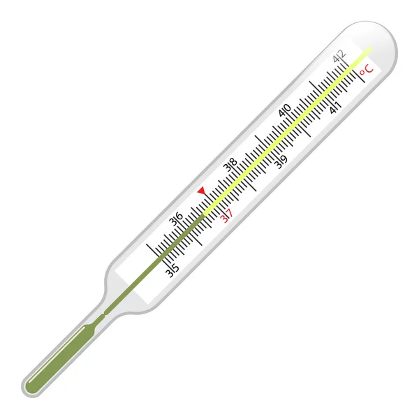 Vector mercury thermometer — Stock Vector