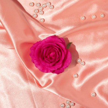 Saten ipek arka planda beyaz incileri olan parlak mor bir gül. Minimum estetik yapı. Romantik yaratıcı fikir. Çiçekli bahar ya da yaz modası konsepti.