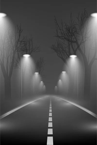 Paisagem noturna. A estrada, o nevoeiro, as luzes. — Vetor de Stock