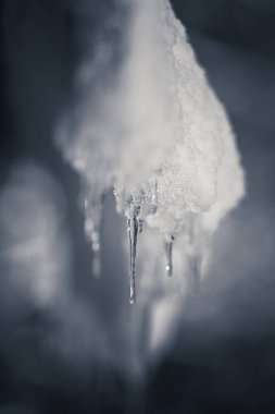 Bulanık arkaplanda doğal buz sarkıtı