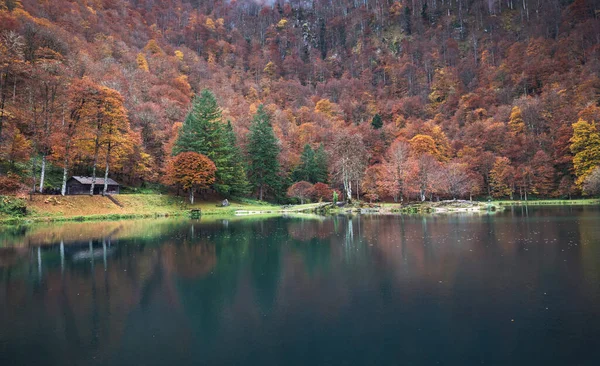 Jezero Podzim Bethmale Francii — Stock fotografie