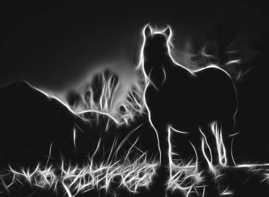 At siyah ve beyaz çizimi