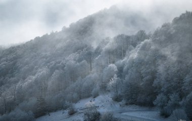 Buz gibi ormanları olan kış dağı manzarası