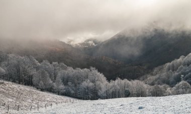 Buz gibi ormanları olan kış dağı manzarası