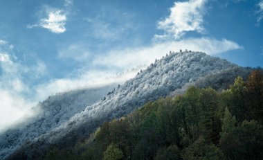 Pireneler dağlarında ilk kar yağışıydı.