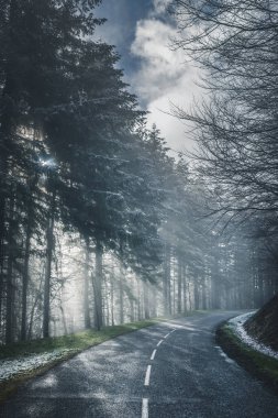 Sisin içinde ağaçların arasından geçen güneş ışınları olan yol. 