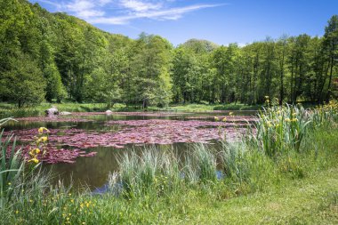 Güney batı Fransa 'daki Erce göleti