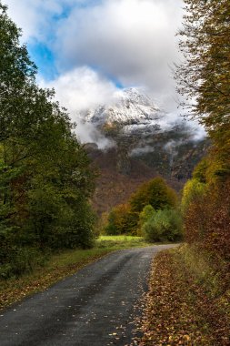 Sonbaharda arka planda karlı dağ zirvesi olan dağ yolu. Güneybatı Fransa 'daki Pireneler Dağları