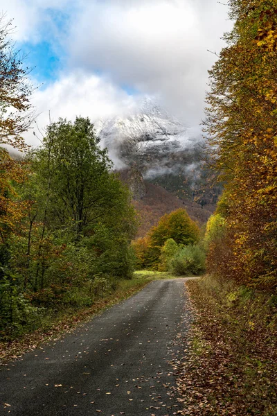 Sonbaharda arka planda karlı dağ zirvesi olan dağ yolu. Güneybatı Fransa 'daki Pireneler Dağları