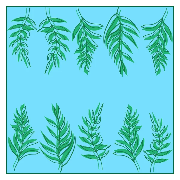 Cadre Coloré Vectoriel Avec Feuilles Tropicales Vert Palmier — Image vectorielle