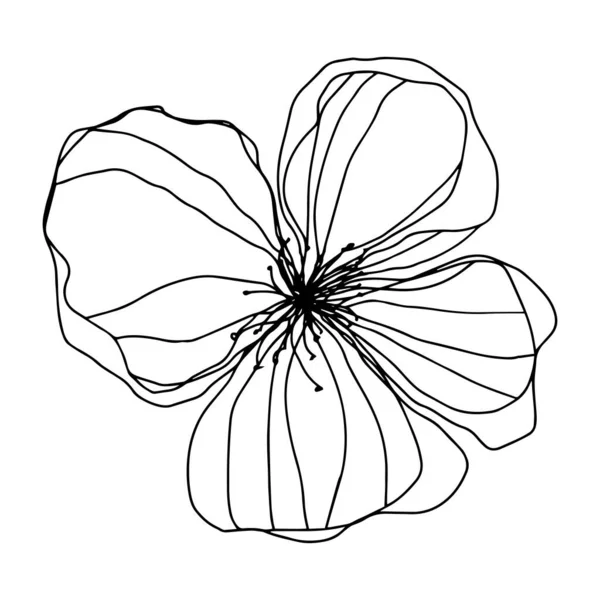 Ботанический Флористический Контур Цветка Цветка Распускаются Почки Векторный Изолированный Минималистичный — стоковый вектор