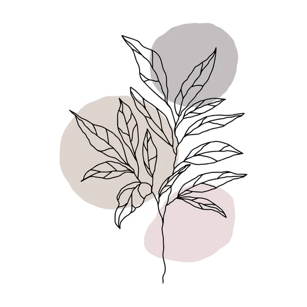 Botanique Floristique Croquis Contour Branches Avec Feuilles Vecteur Isolé Branche — Image vectorielle