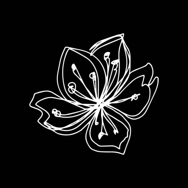 Ботанический Флористический Контур Цветка Вишни Сакура Яблони Открытые Почки Векторный — стоковый вектор