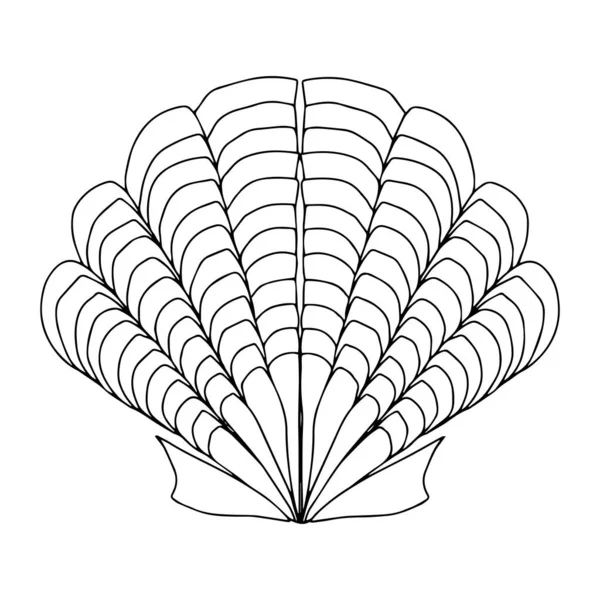 Concha Mar Vetor Isolado Mão Desenho Esboço Preto Branco Cor —  Vetores de Stock