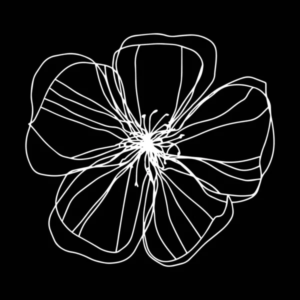 Ботанический Флористический Контур Цветка Цветка Распускаются Почки Векторный Изолированный Минималистичный — стоковый вектор