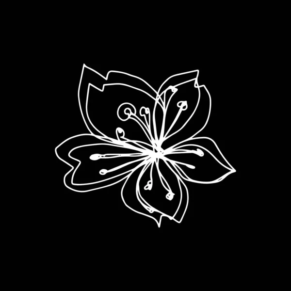 Ботанічний Квітковий Контур Квітки Вишні Сакура Яблуня Відкриті Бутони Векторна — стоковий вектор