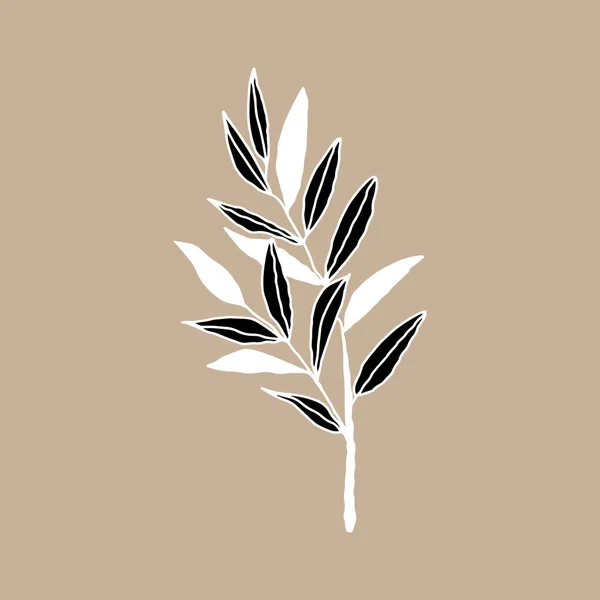 Botanique Floristique Croquis Contour Branches Avec Feuilles Branche Minimaliste Isolée — Image vectorielle