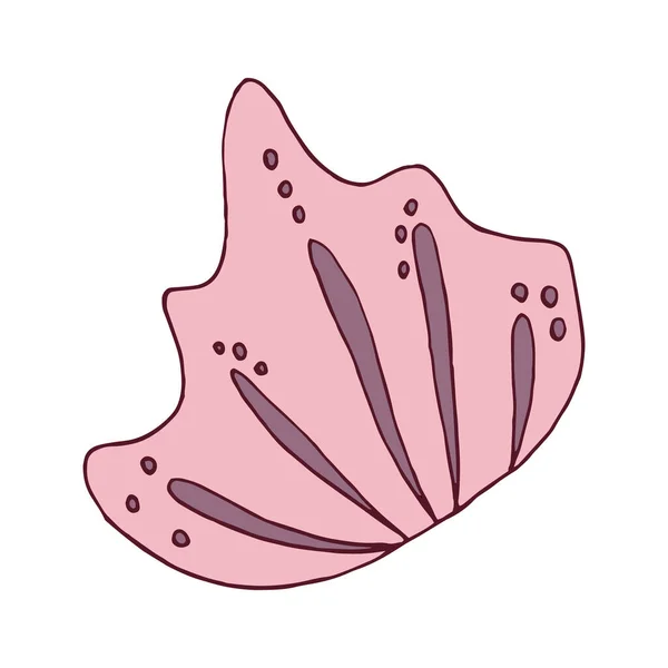 Seashell Vector Marino Dibujo Mano Aislado Bosquejo Rosa — Archivo Imágenes Vectoriales