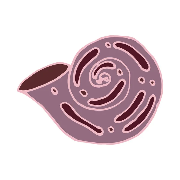 Conchiglia Mare Vettore Isolato Mano Disegno Schizzo Rosa — Vettoriale Stock