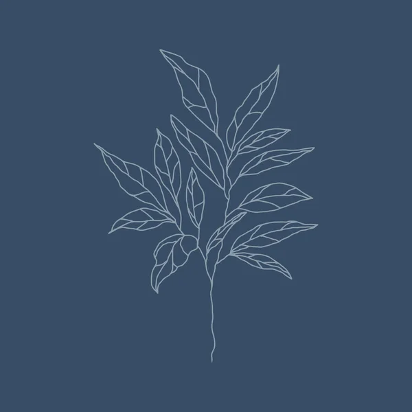 Botanique Floristique Croquis Contour Branches Avec Feuilles Branche Minimaliste Isolée — Image vectorielle