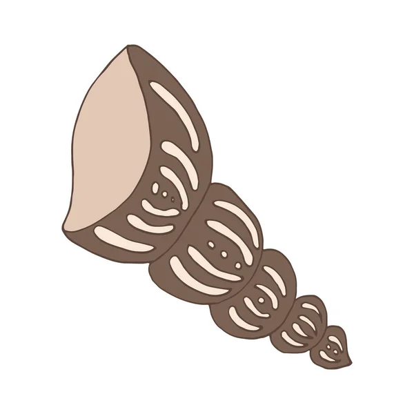 貝殻の海ベクトル分離手描きスケッチベージュ — ストックベクタ