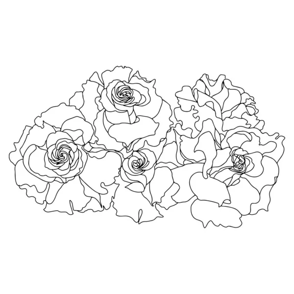 Букетні Троянди Відкриті Бутони Чорно Білі Ізольовані Векторна Ілюстрація Рук — стоковий вектор