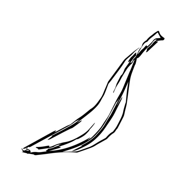 Banana Bianco Nero Mano Disegno Vettore Contorno — Vettoriale Stock