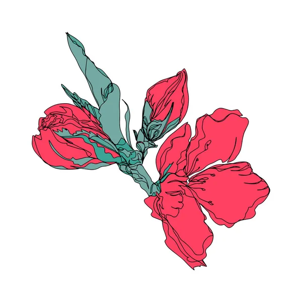 Квіткова Гілка Листям Відкритим Бутоном Ізольований Векторний Фон — стоковий вектор