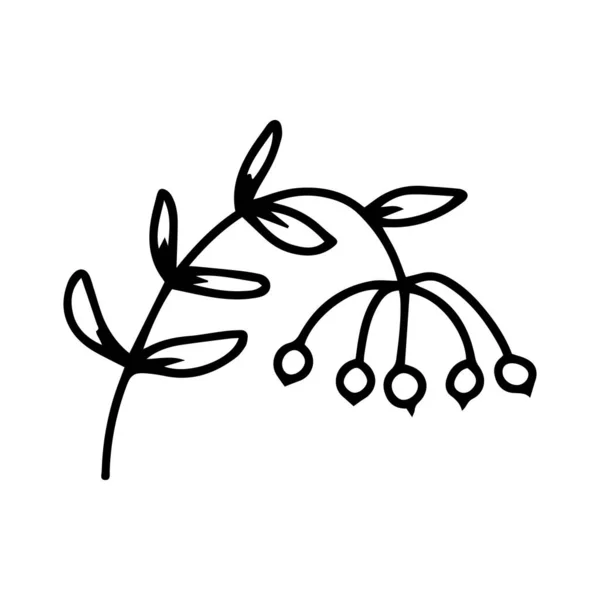 Rowan Branche Vectorielle Avec Des Feuilles Des Baies Jaune Rose — Image vectorielle