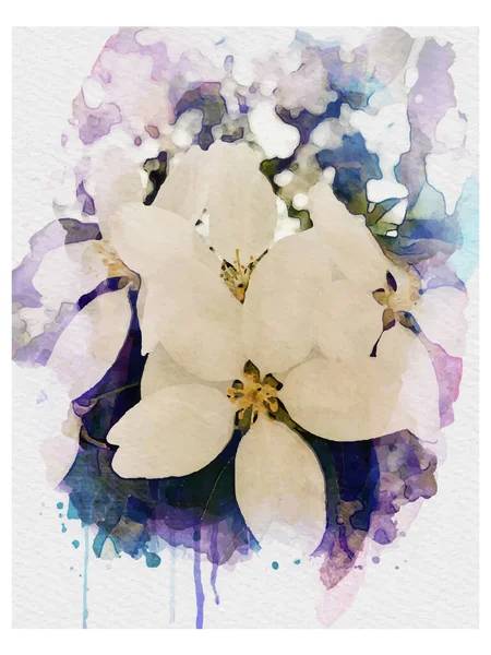 Akvarel Vektor Jablko Květ Větev Listy Šeříková Modrá Barva — Stockový vektor