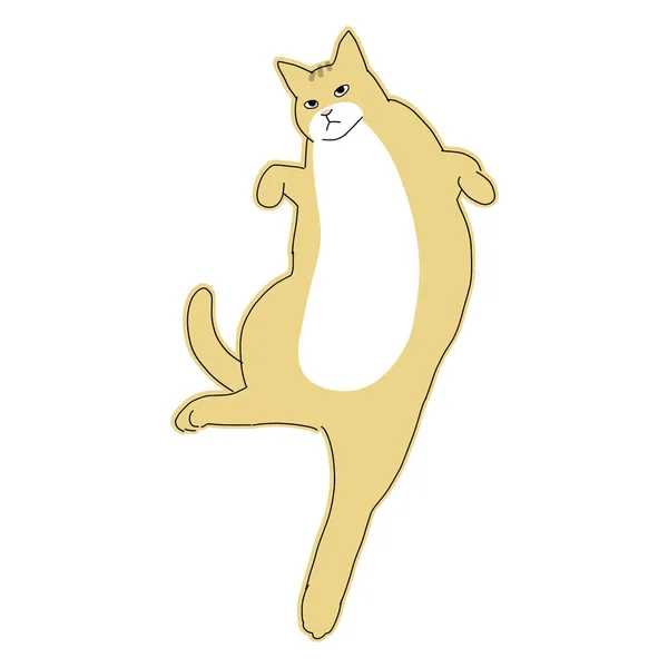 Lindo Simple Ilustración Cuerpo Completo Gato — Vector de stock