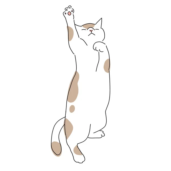 Lindo Simple Ilustración Cuerpo Completo Gato — Archivo Imágenes Vectoriales