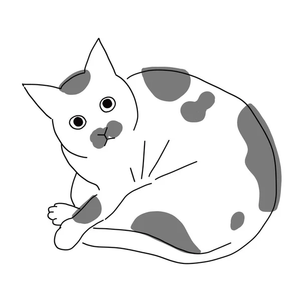 Cute Dan Sederhana Seluruh Tubuh Ilustrasi Kucing - Stok Vektor