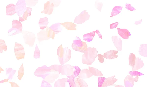 Illustration Cherry Blossom Petals — Stock Photo, Image