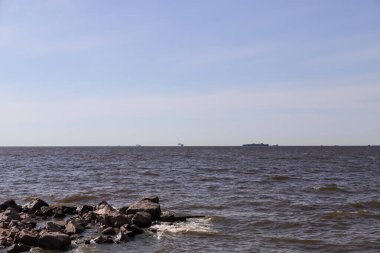 Finlandiya Körfezi 'nin su bölgesi güneşli bir yaz günüdür. Sahilde büyük granit taşlar var. Rusya Saint Petersburg