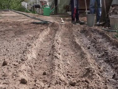 Bahçede çalışan çiftçi.