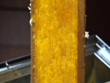 Bal sökücüden bal pompalıyorum.