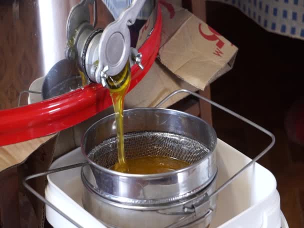 Filtración Miel Del Extractor Miel — Vídeo de stock