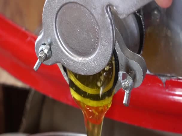 Honey Flows Honey Extractor — Stock Video