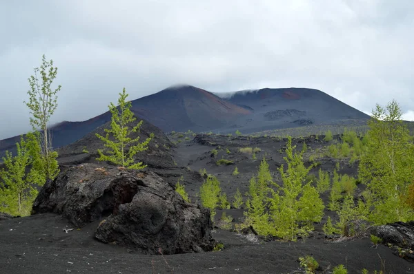 在堪察加半岛托尔巴奇克火山附近的黑灰上远足 — 图库照片