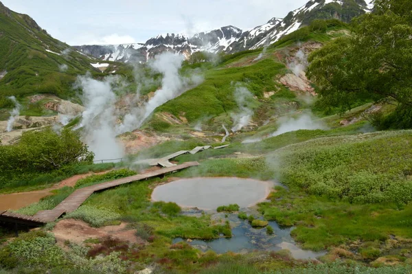 Fumo Esce Dalle Fumarole Nella Valle Dei Geyser Kamchatka Russia — Foto Stock