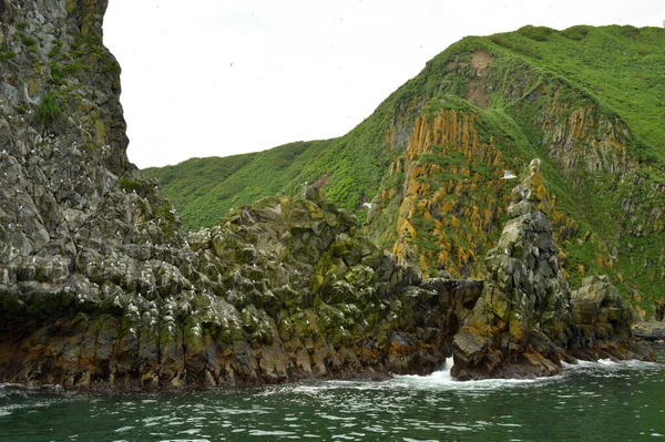 Birds Nesting Rock Formations Ocean — Stock Photo, Image