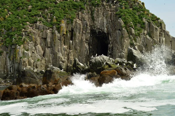 Des Vagues Écrasent Contre Des Rochers Kamchatka Russie — Photo