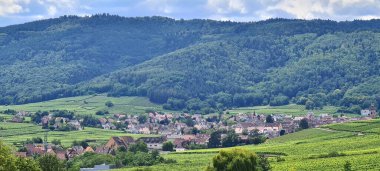 Alsace, Fransa 'daki üzüm bağlarına bakın