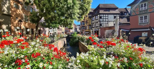 Colmar, Alsace, Fransa 'daki renkli çiçeklerin çerçevelediği kanala bak — Stok fotoğraf
